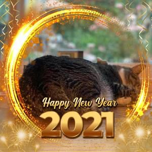 Meet your Posher, Annie